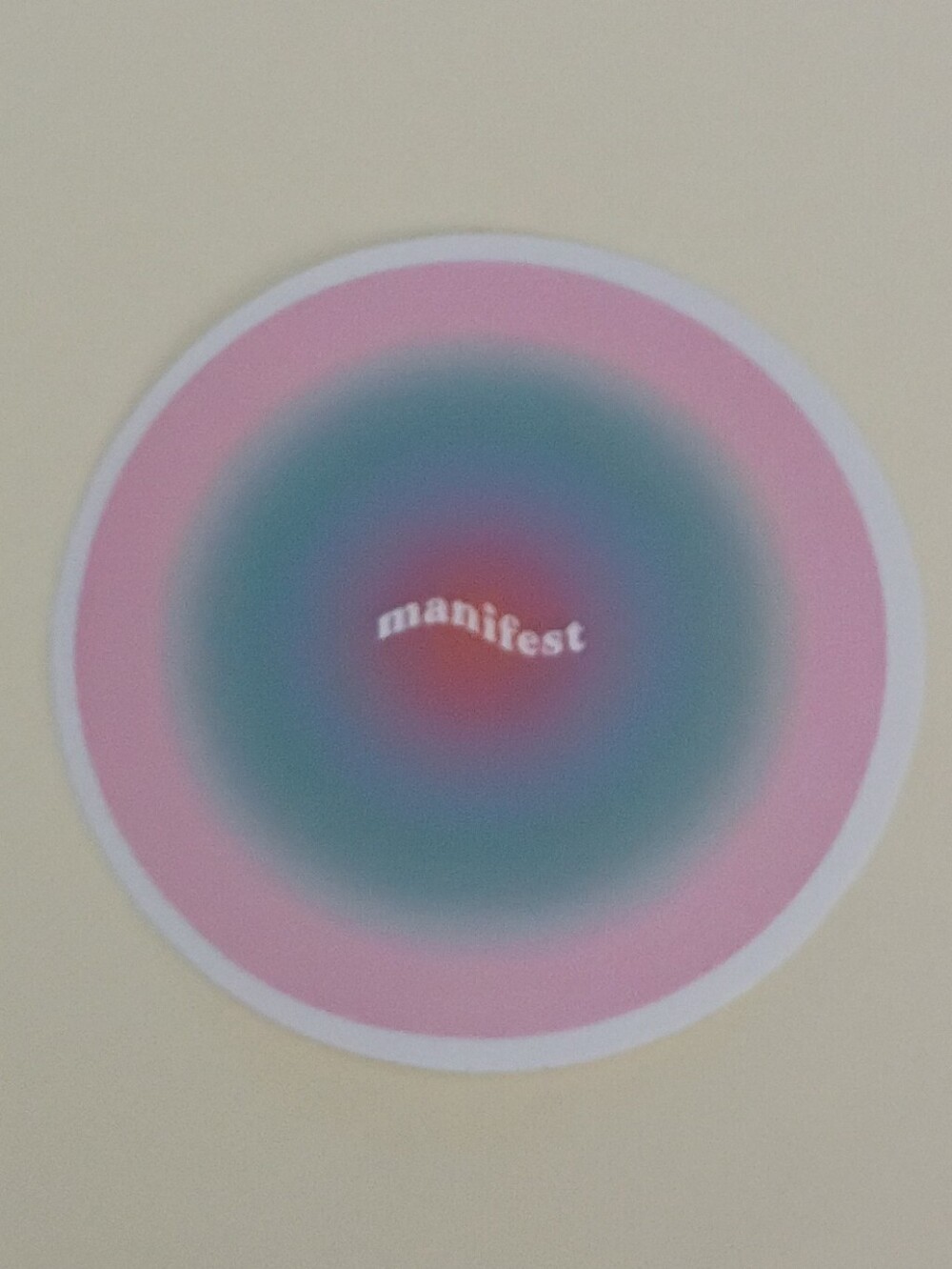 10/$10 Stickers - Manifest - Blue Green & Pink Circle